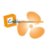 CUBIC MARINE LOGISTICS Ltd